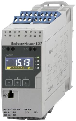 Endress+Hauser RMA42 Prozesstransmitter mit Steuereinheit/Messumformer RMA42-AAD