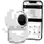 Truelife NannyCam R3 Smart TLNCR3S Babyphone mit Kamera WLAN 2.4 GHz