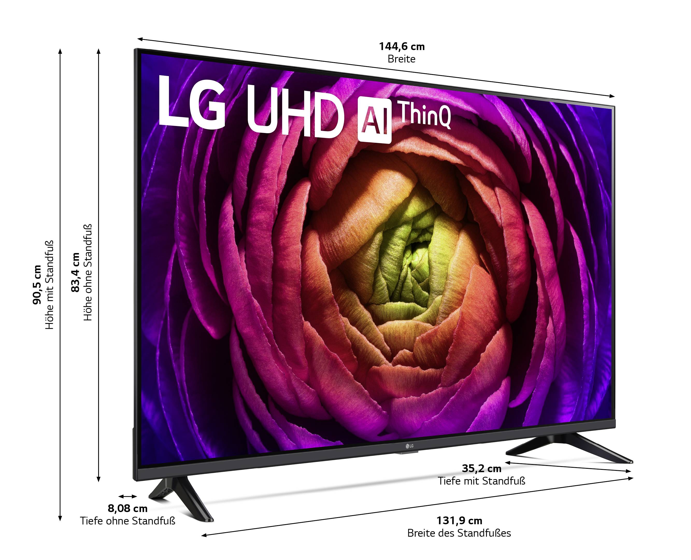 LG Electronics 4K Smart UHD TV 65UR73006LA LCD-TV 165.1 cm 65 Zoll EEK G (A - G) UHD, Smart TV, WLAN, CI+ Schwarz