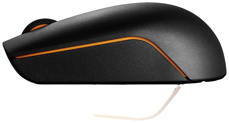 Lenovo 300 Wireless Compact Maus Kabellos Schwarz 3 Tasten 1000 dpi