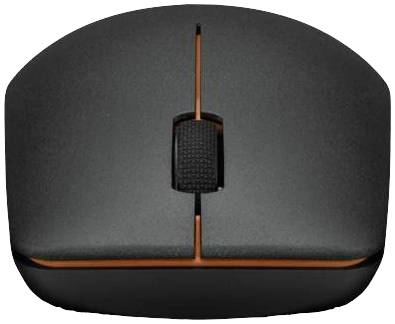 Lenovo 400 Maus Kabellos, Funk Optisch Schwarz 3 Tasten 1200 dpi