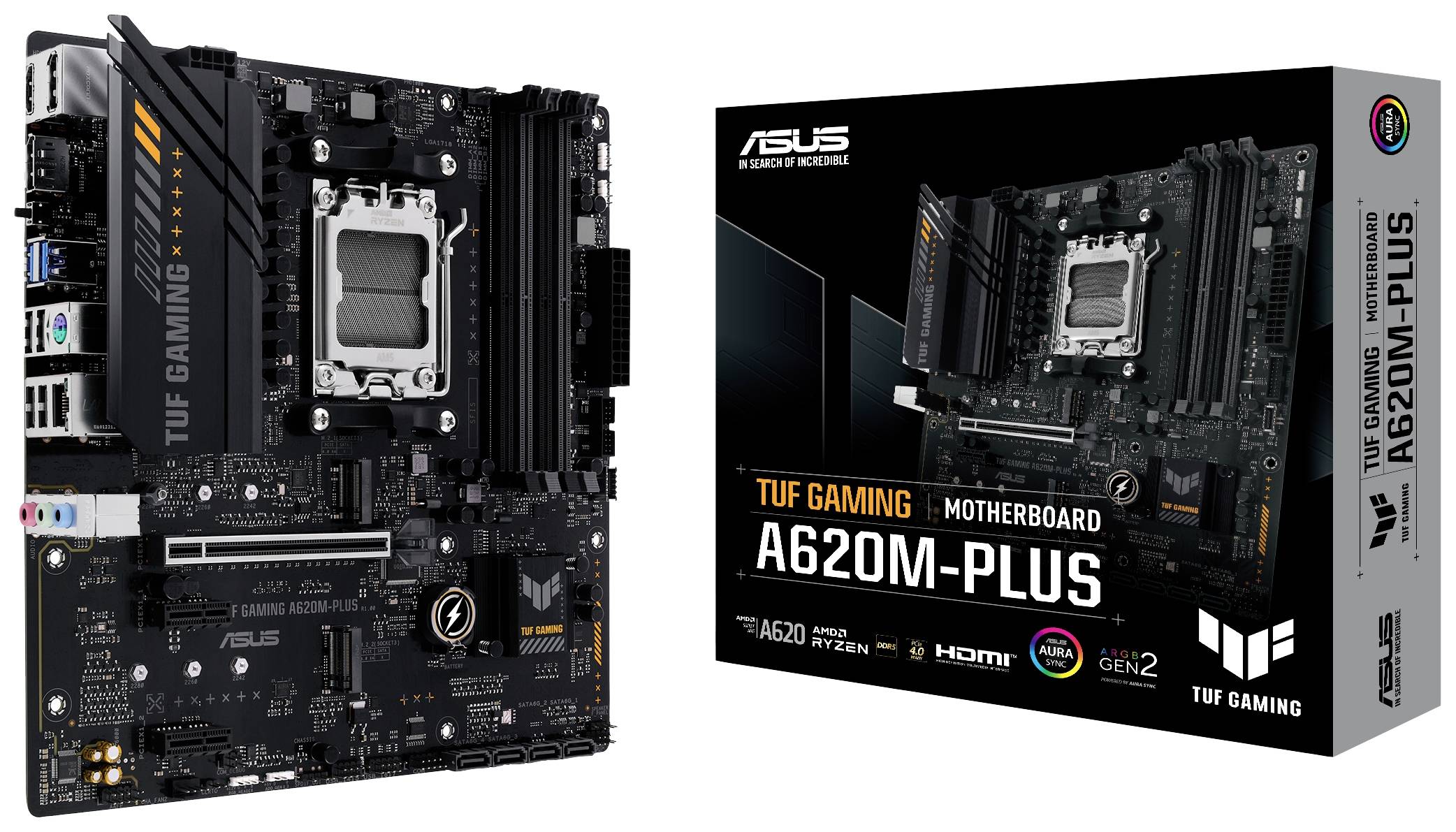 Asus Grafikkarte AMD Radeon RX 6600 Dual 8GB GDDR6-RAM PCIe x16 PCIe 4.0 x4