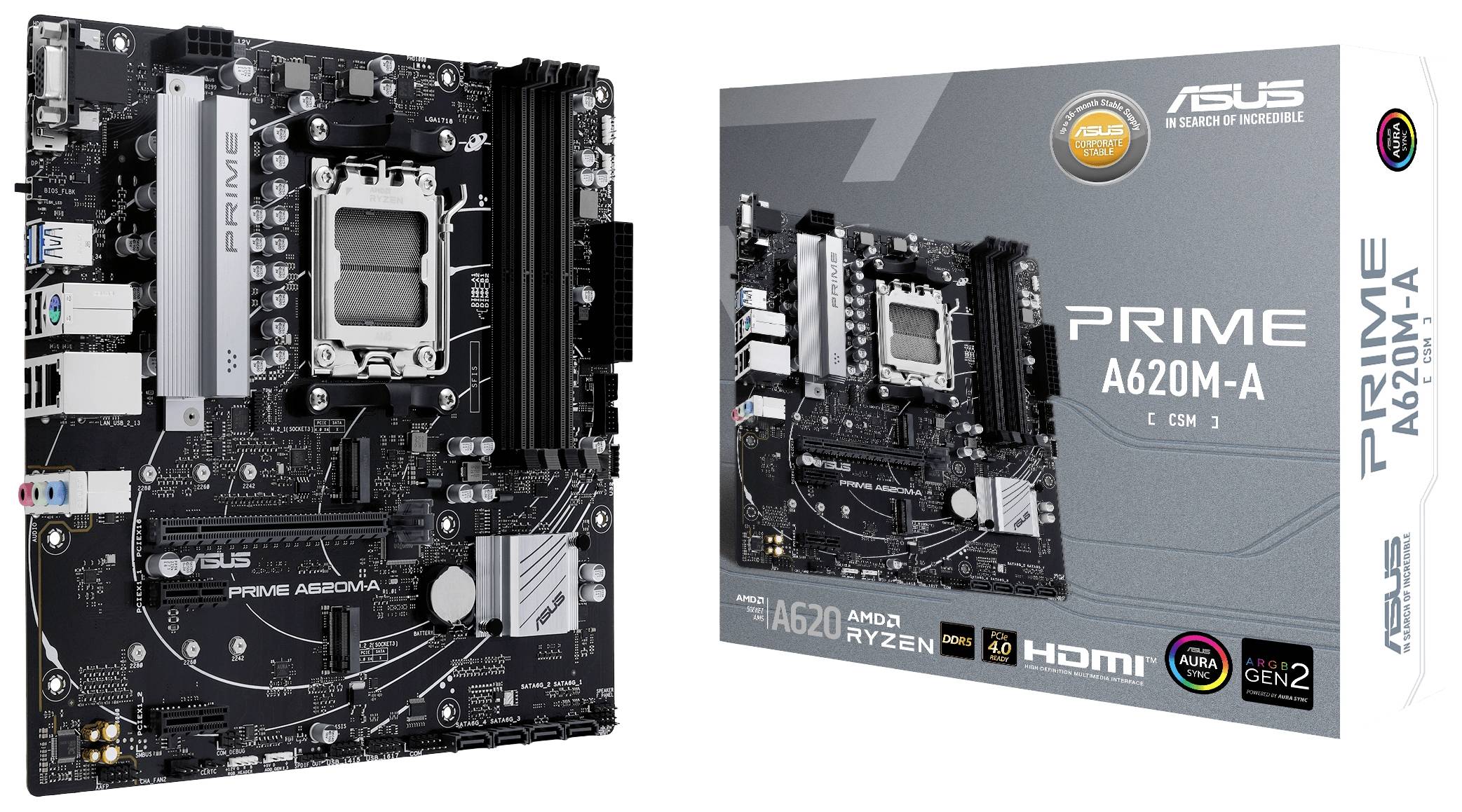 Asus Grafikkarte AMD Radeon RX 7600 Gaming Overclocked 8 GB GDDR6-RAM PCIe 4.0 x4