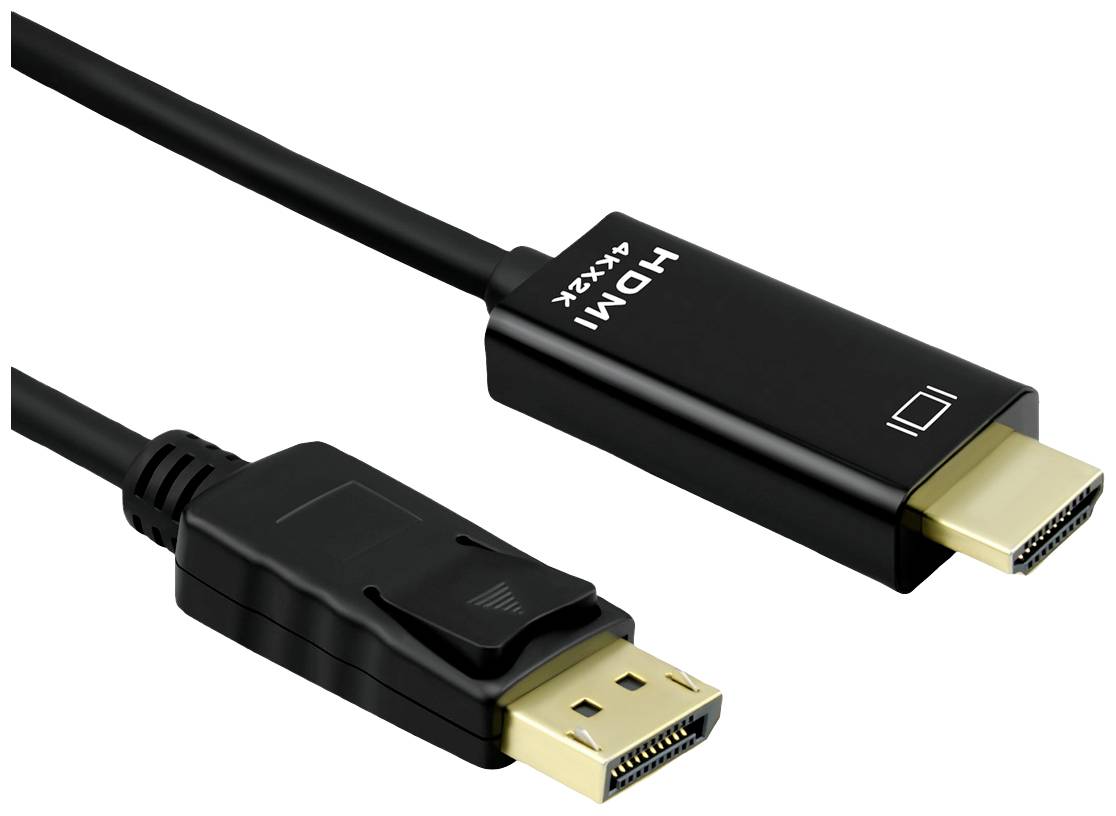 Zwei schwarze Kabel: links ein DisplayPort-Stecker, rechts ein HDMI-Stecker. Beide sind durch ein schwarzes Kabel verbunden.