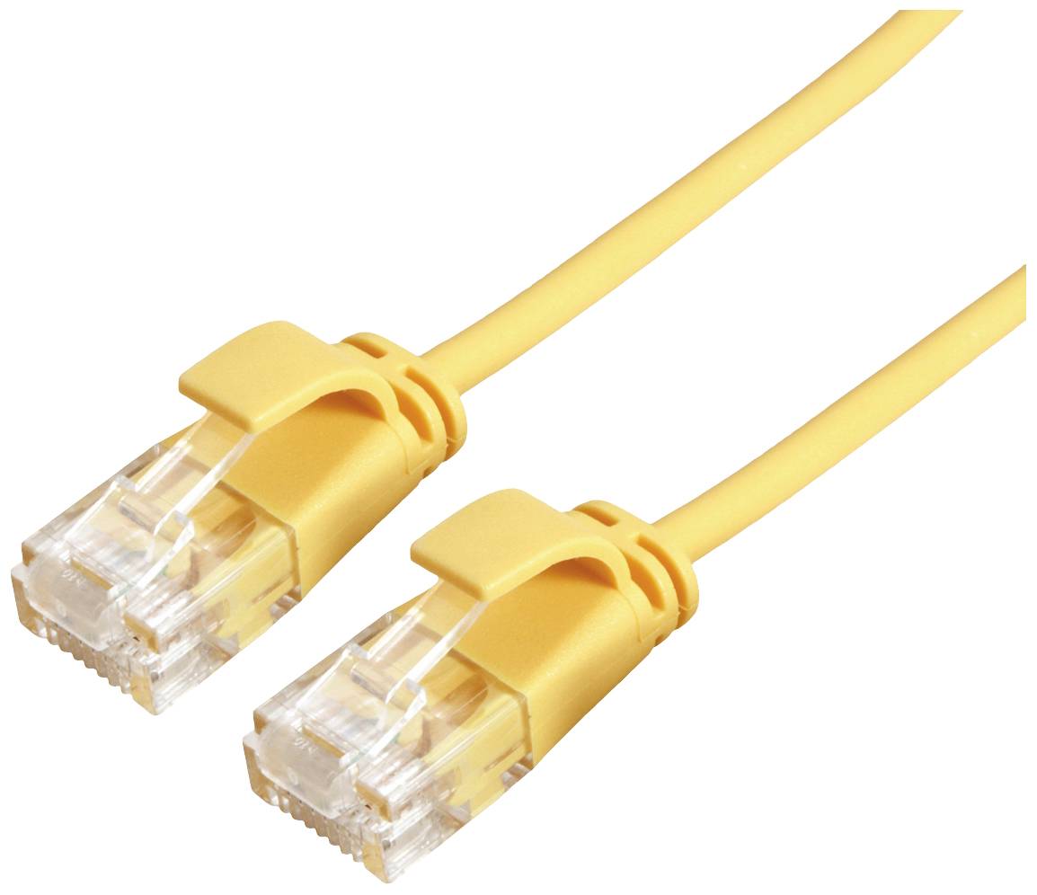 Zweifach gelbes Ethernet-Kabel mit transparenten RJ45-Steckern, verwendet zur Netzwerkverbindung und Datenübertragung.