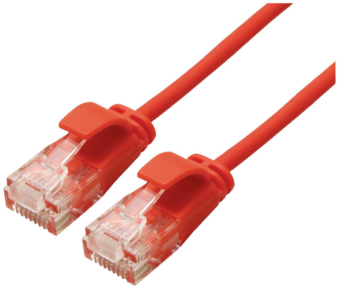 Zwei rote Ethernet-Kabel mit transparenten Steckern auf weißem Hintergrund. Kabel sind nebeneinander angeordnet.
