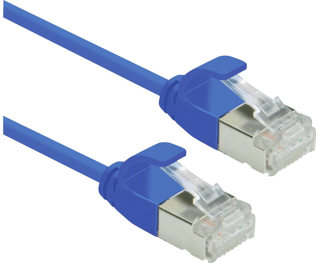 Zwei blaue Ethernet-Kabel mit RJ45-Steckern an beiden Enden, verwendet für die Netzwerkverbindung.