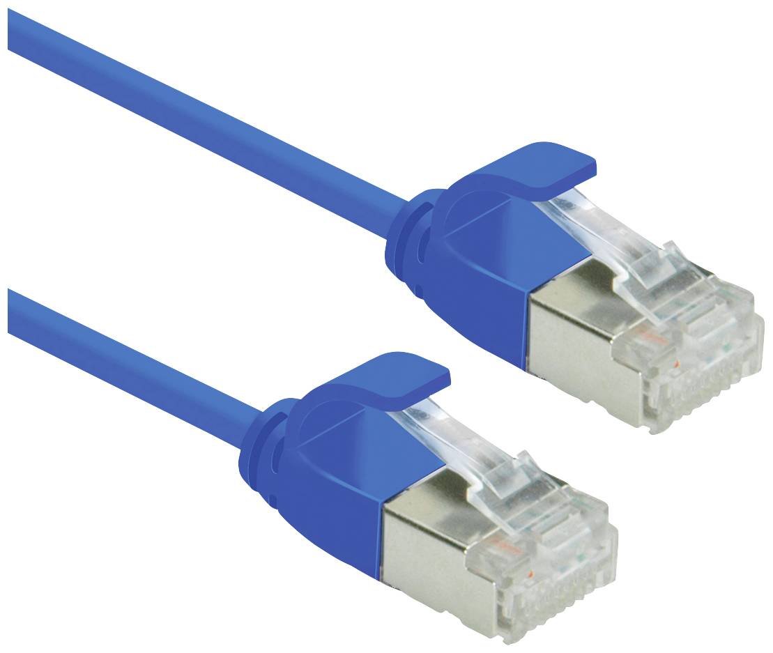 Zwei blaue Ethernet-Kabel mit RJ45-Steckern, die für Netzwerkanbindungen und Internetverbindungen verwendet werden.
