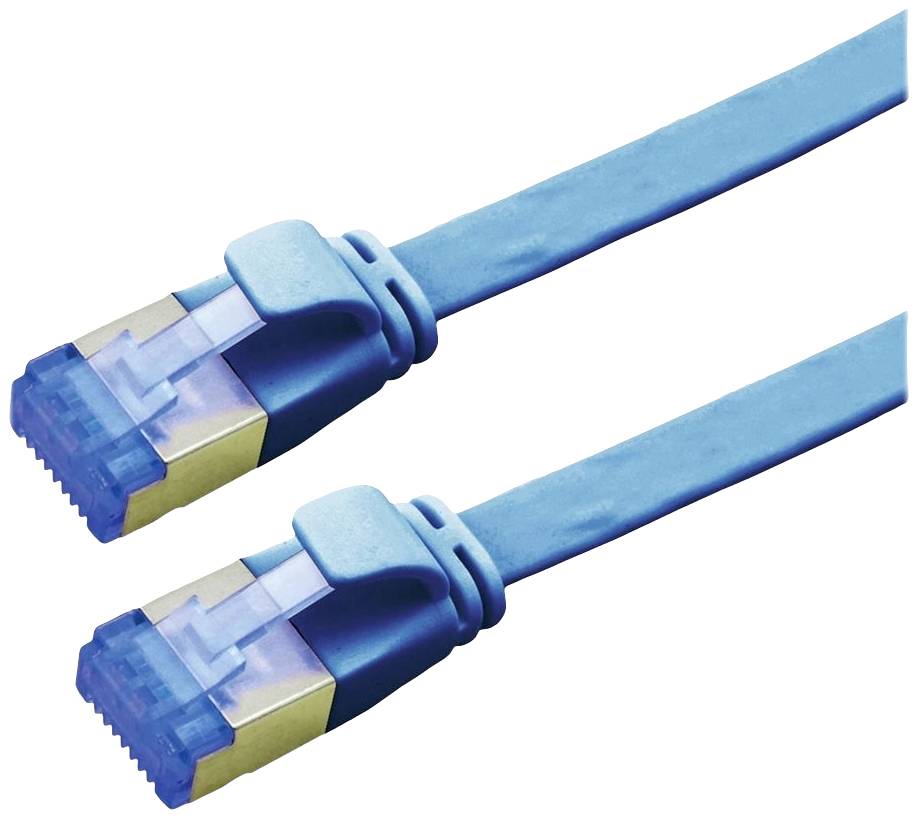 Zwei blaue Ethernet-Kabel mit Steckern dargestellt, geeignet für Netzwerkverbindungen.