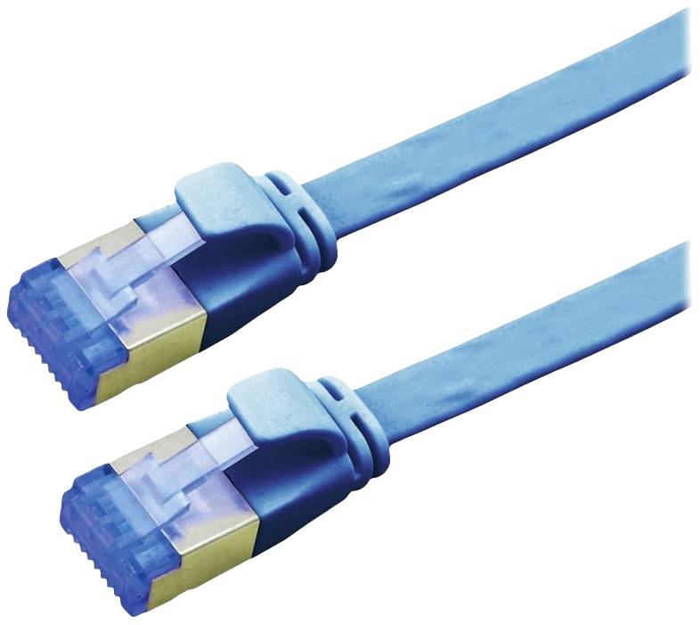 Zwei blaue Ethernet-Kabel mit RJ45-Steckern in Nahaufnahme, die für Netzwerkverbindungen genutzt werden.