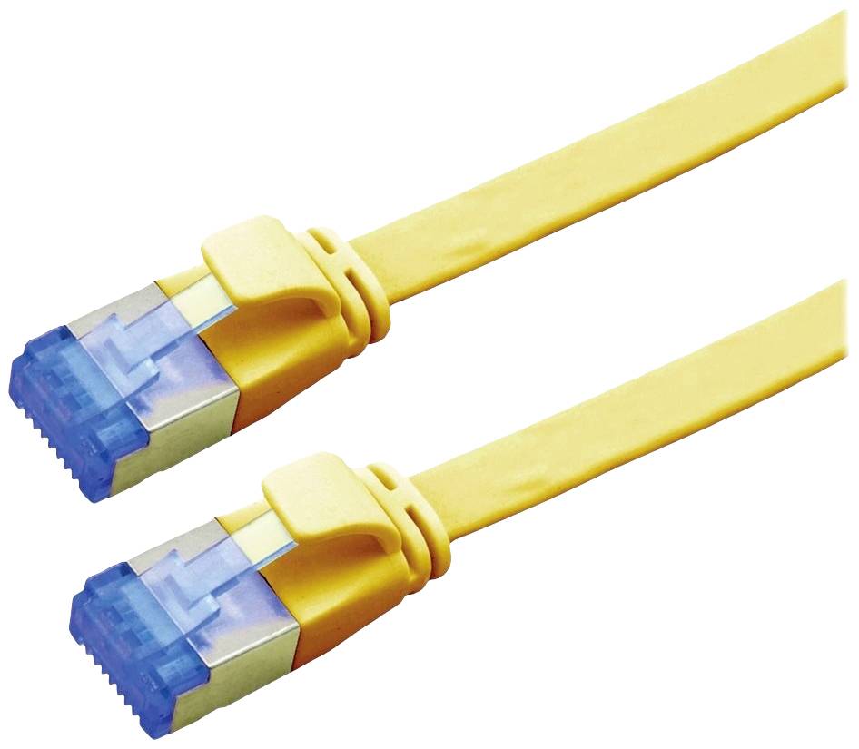Zwei gelbe Netzwerkkabel mit blauen Steckern, nebeneinander liegend.