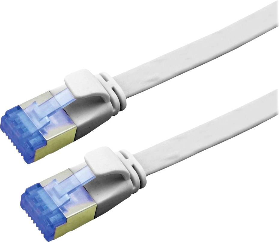 Ein weißes Netzwerkkabel mit zwei blauen Steckern an den Enden, geeignet für Datenverbindungen in einem IT-Setup.