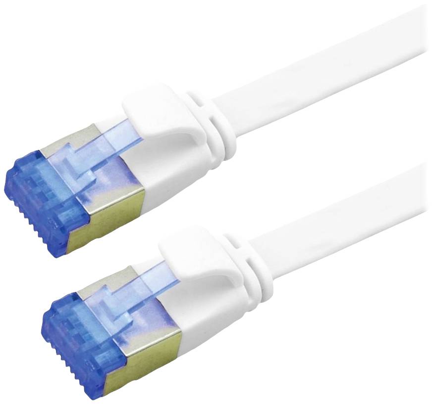 Zwei weiße Netzwerkkabel mit blauen Steckern.