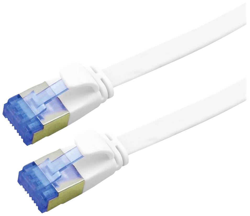 Zwei weiße Ethernet-Kabel mit blauen Steckern, nebeneinander liegend, zeigen die Anschlüsse für Netzwerkverbindungen.