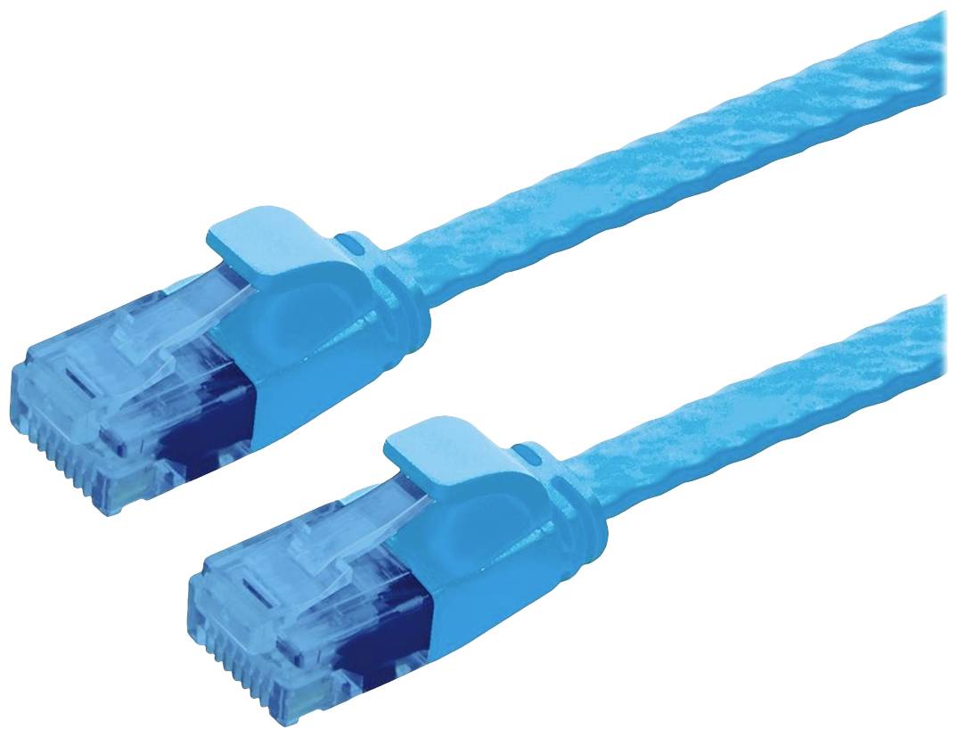 Zwei blaue Ethernet-Kabelstecker nebeneinander, dargestellt in Nahaufnahme. Sie sind identisch und für Netzwerkverbindungen geeignet.