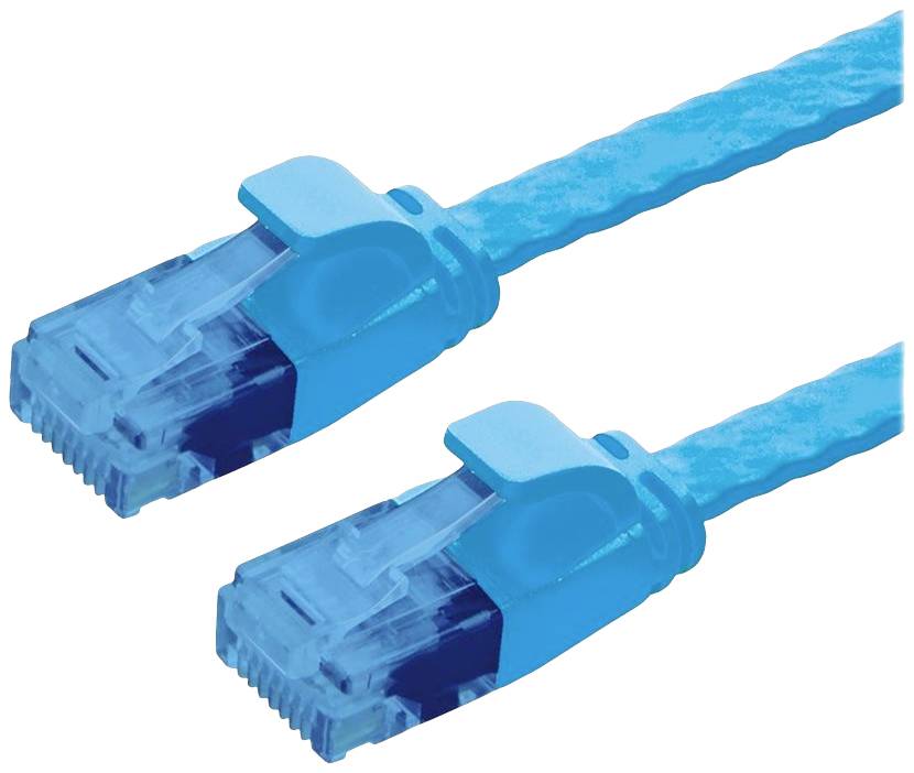 Zwei blaue Ethernet-Kabel mit Steckern.