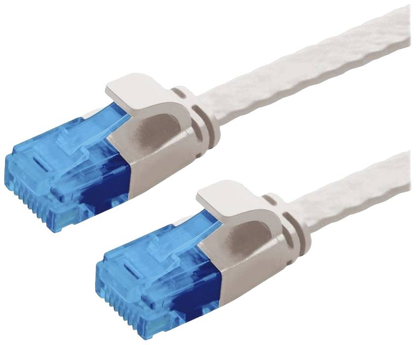 Zwei weiße Ethernet-Kabel mit blauen Steckern.