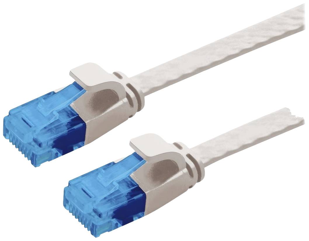 Zwei blaue Ethernet-Kabelstecker mit weißen Kabeln, die nebeneinander liegen.