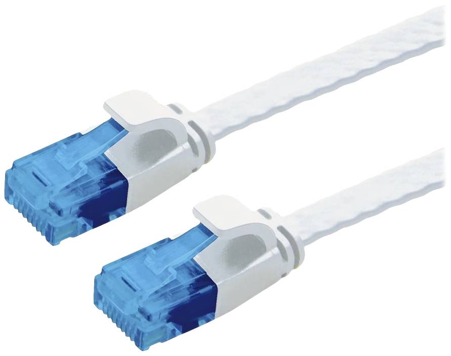Zwei blaue Ethernet-Kabelenden mit weißen Ummantelungen, nebeneinander, zur Datenübertragung verwendet.