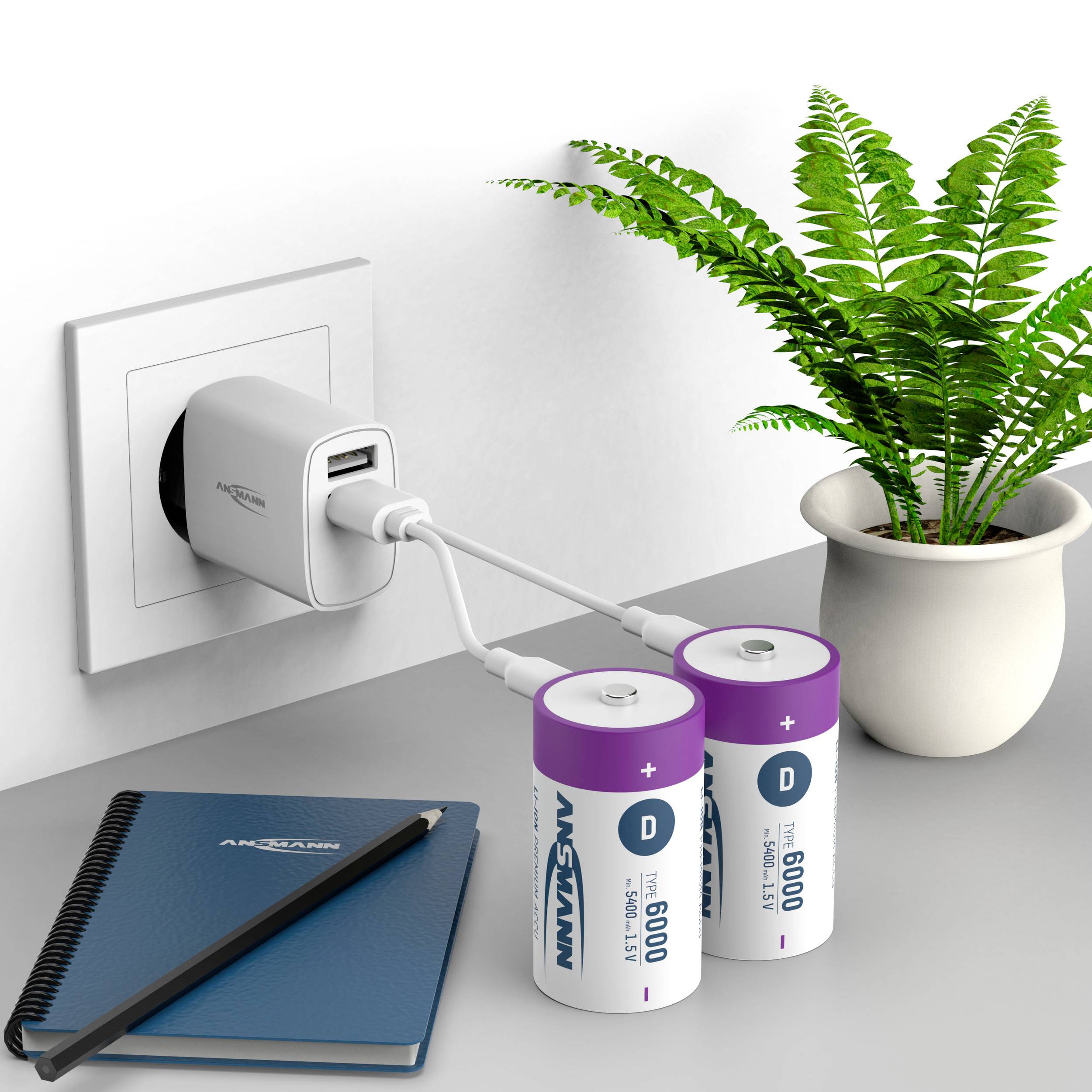 Ansmann LR20 USB-C Mono (D)-Akku Li-Ion 6000 mAh 1.5V 2St.