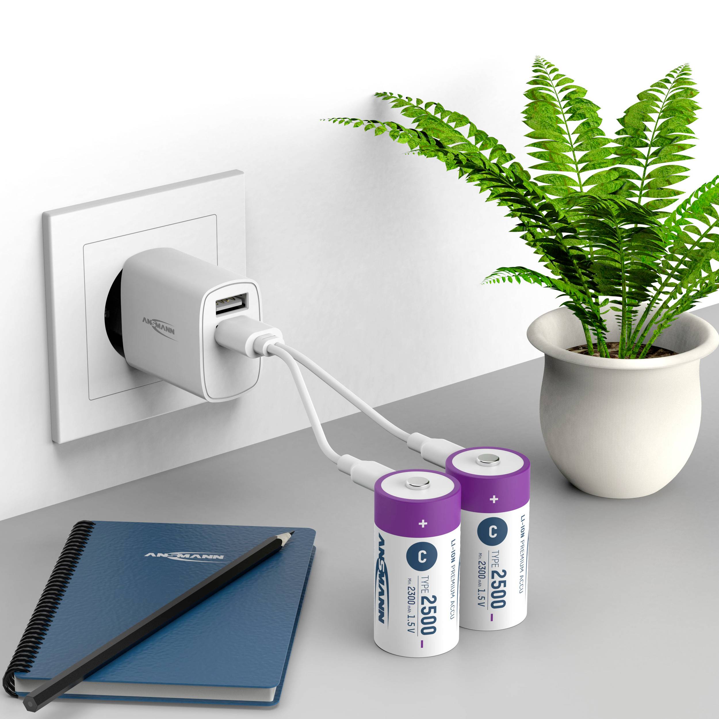 Ansmann LR15 USB-C Baby (C)-Akku Li-Ion 2500 mAh 1.5 V 2 St.