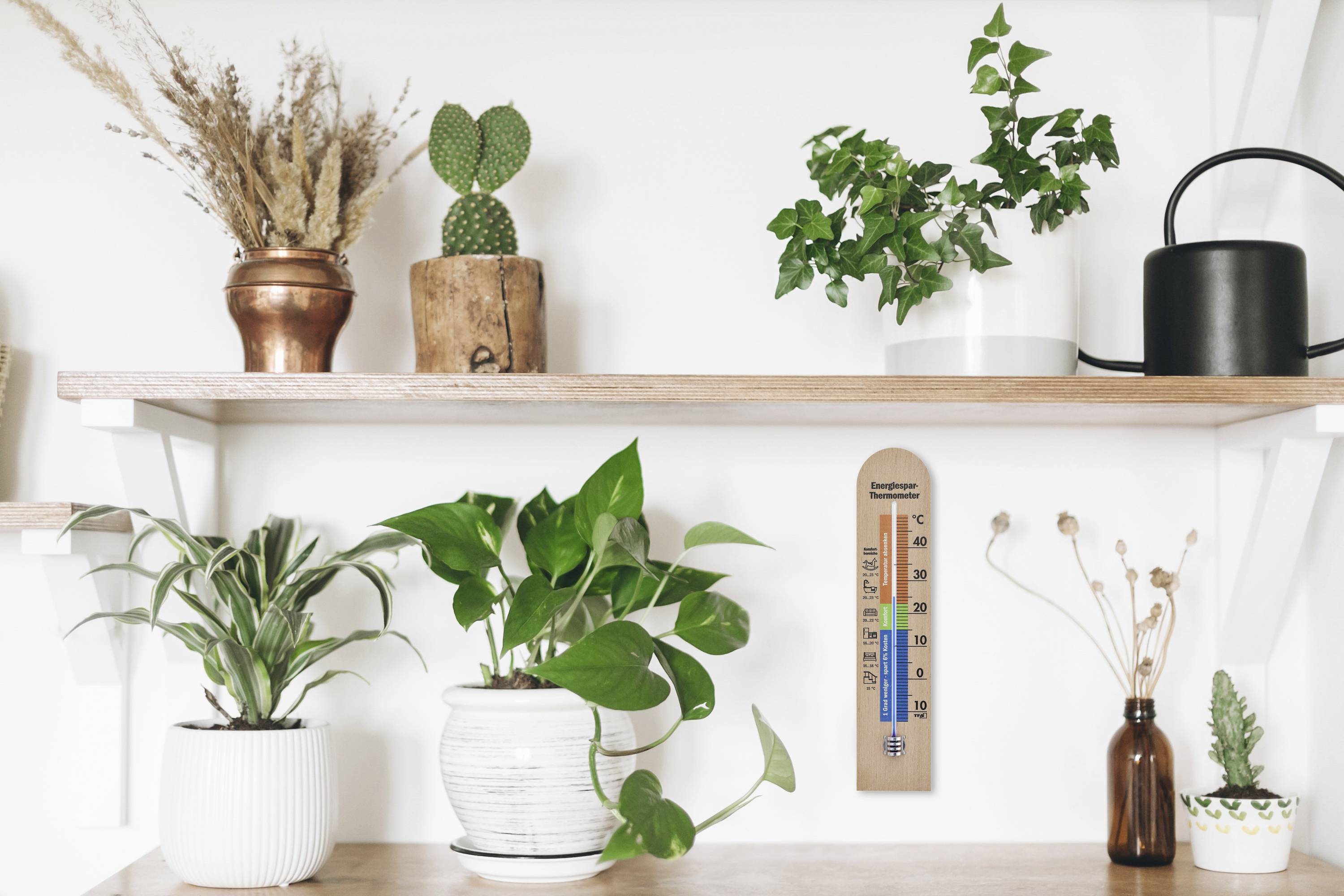 Mehrere Pflanzen in Töpfen stehen auf zwei Holzregalen an einer weißen Wand. Zwischen den Pflanzen hängt ein Thermometer.