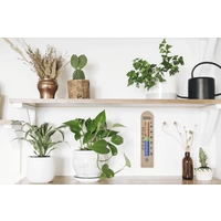 TFA Dostmann Energiespar-Thermometer Thermometer Natur 12.1055.05 TFA Dostmann Energiespar-Thermometer Thermometer Natur 12.1055.05