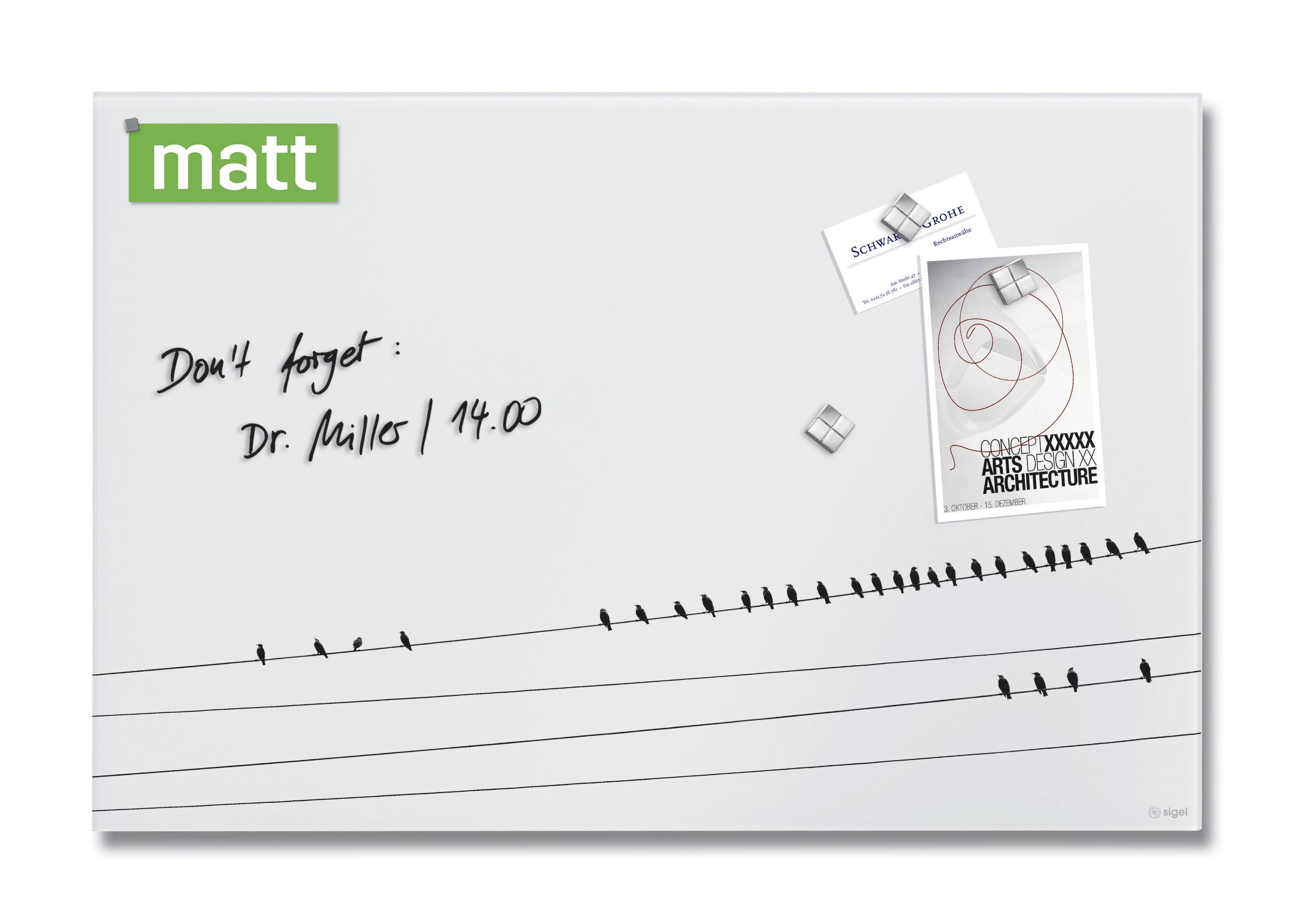 Glas-Magnettafel Artverum 60x40cm Little Birds matt