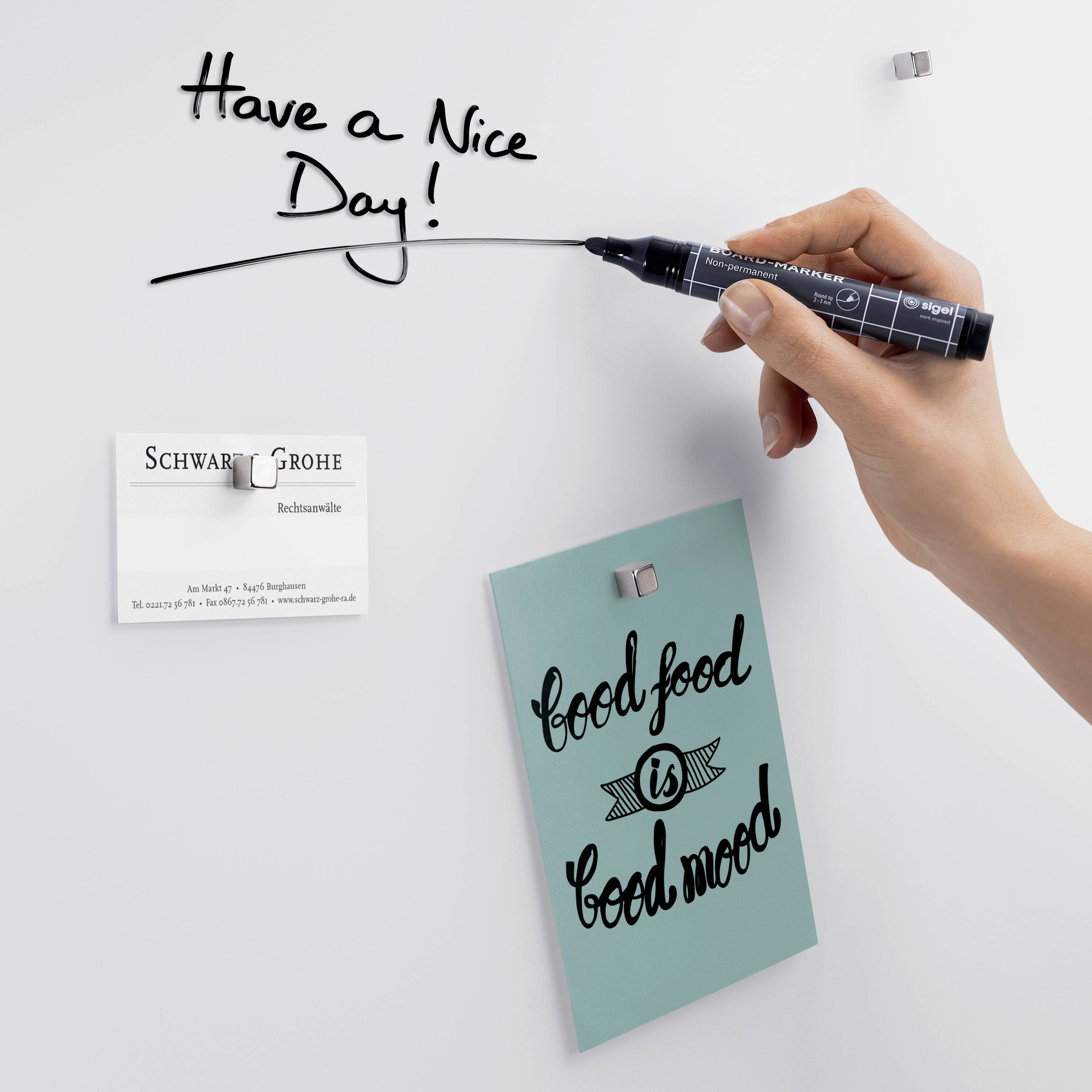 Glas-Magnettafel Artverum 60x40cm Little Birds matt