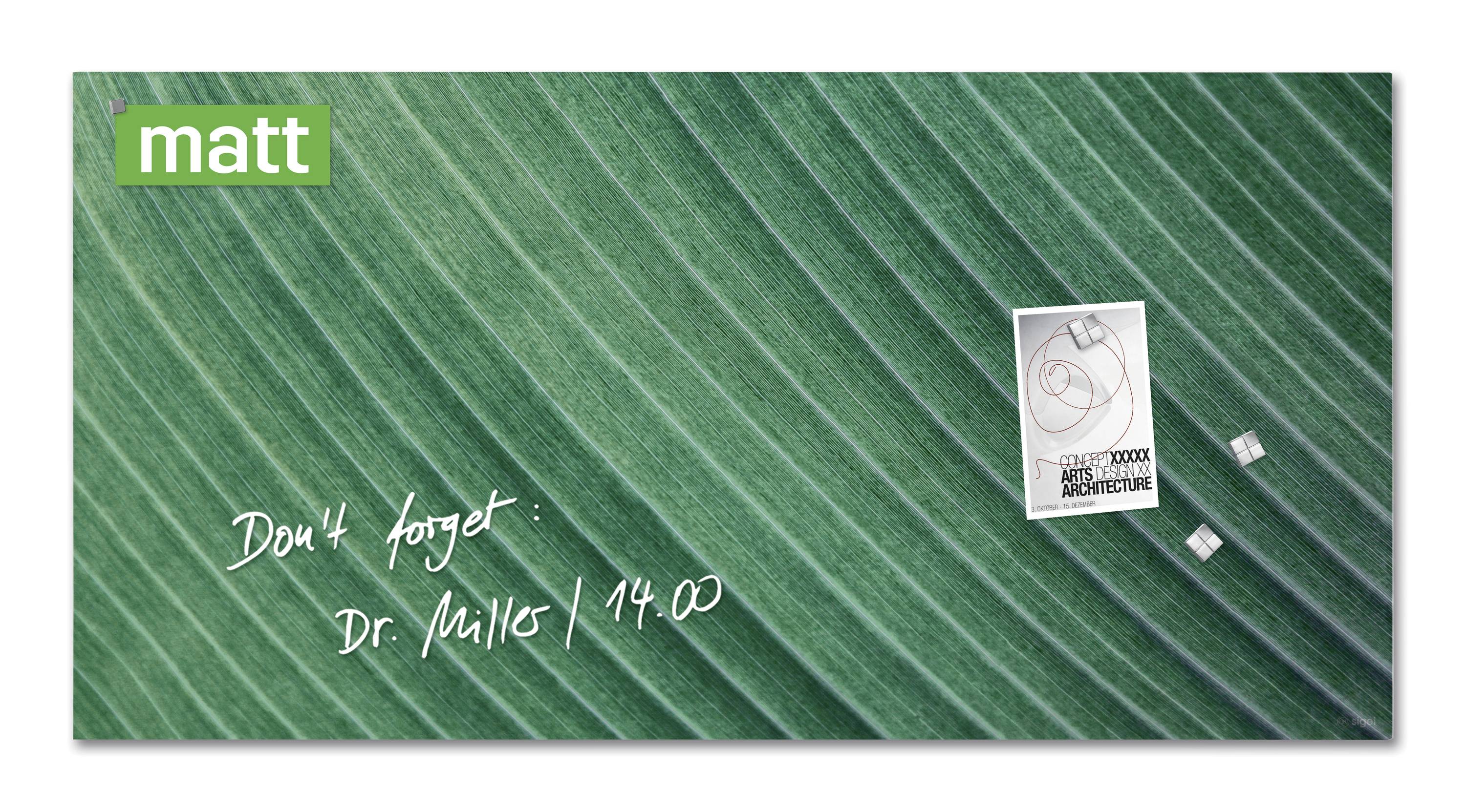 Sigel Glas-Magnettafel Artverum Palm Leaf (B x H) 91 cm x 46 cm Grün GL371