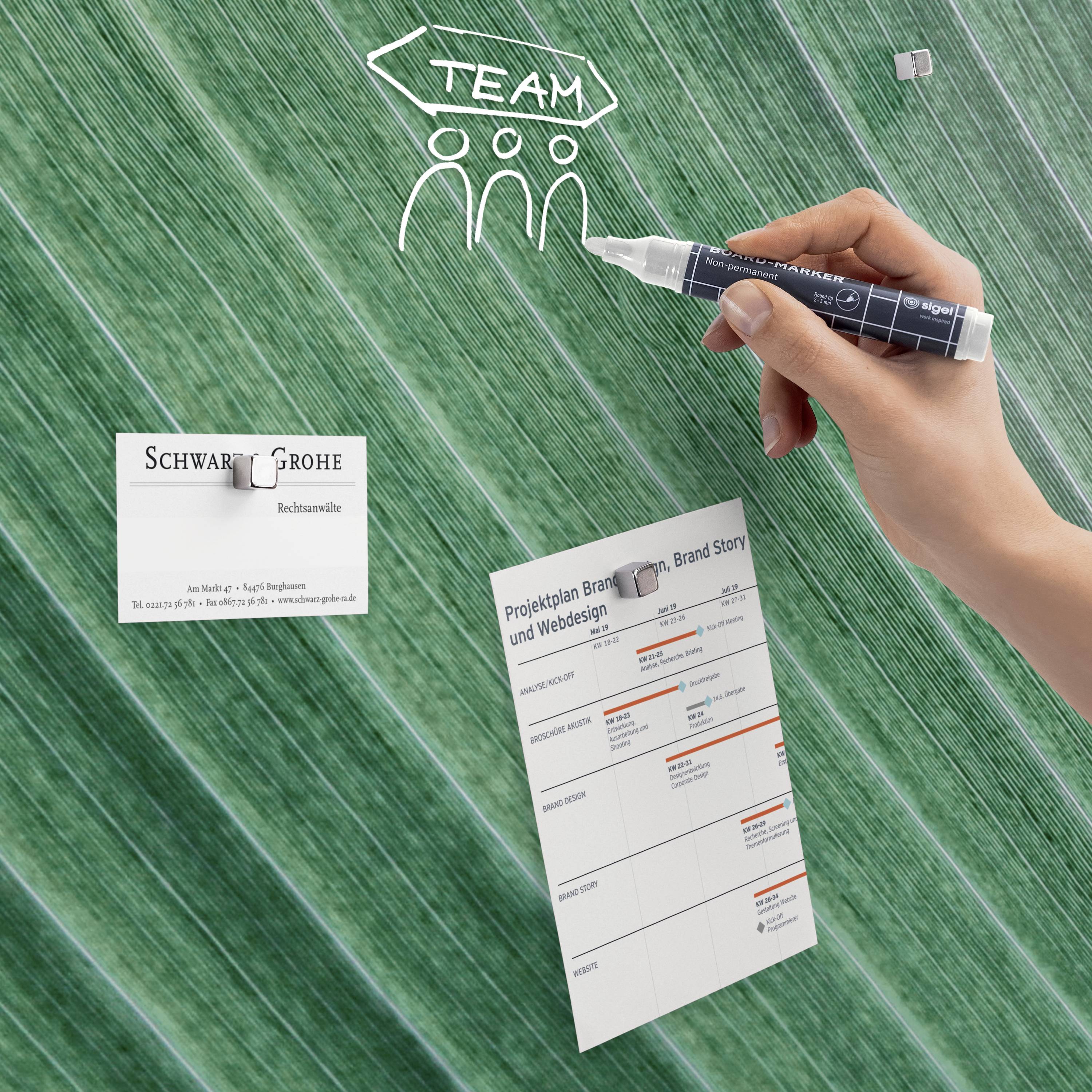 Sigel Glas-Magnettafel Artverum Palm Leaf (B x H) 91 cm x 46 cm Grün GL371