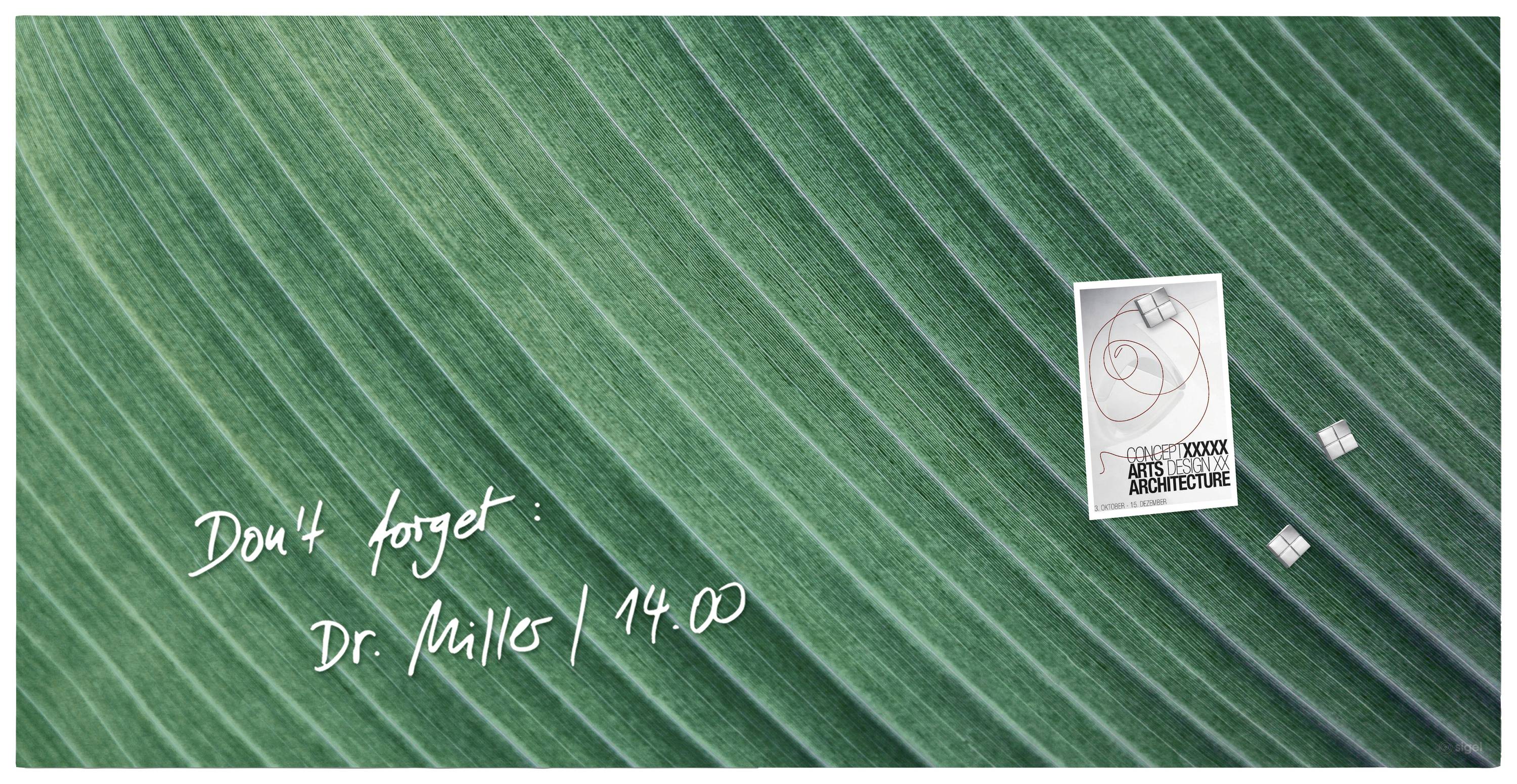 Sigel Glas-Magnettafel Artverum Palm Leaf (B x H) 91 cm x 46 cm Grün GL371