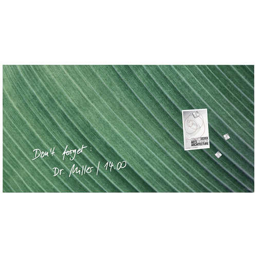 Sigel Glas-Magnettafel Artverum Palm Leaf (B x H) 91cm x 46cm Grün GL371
