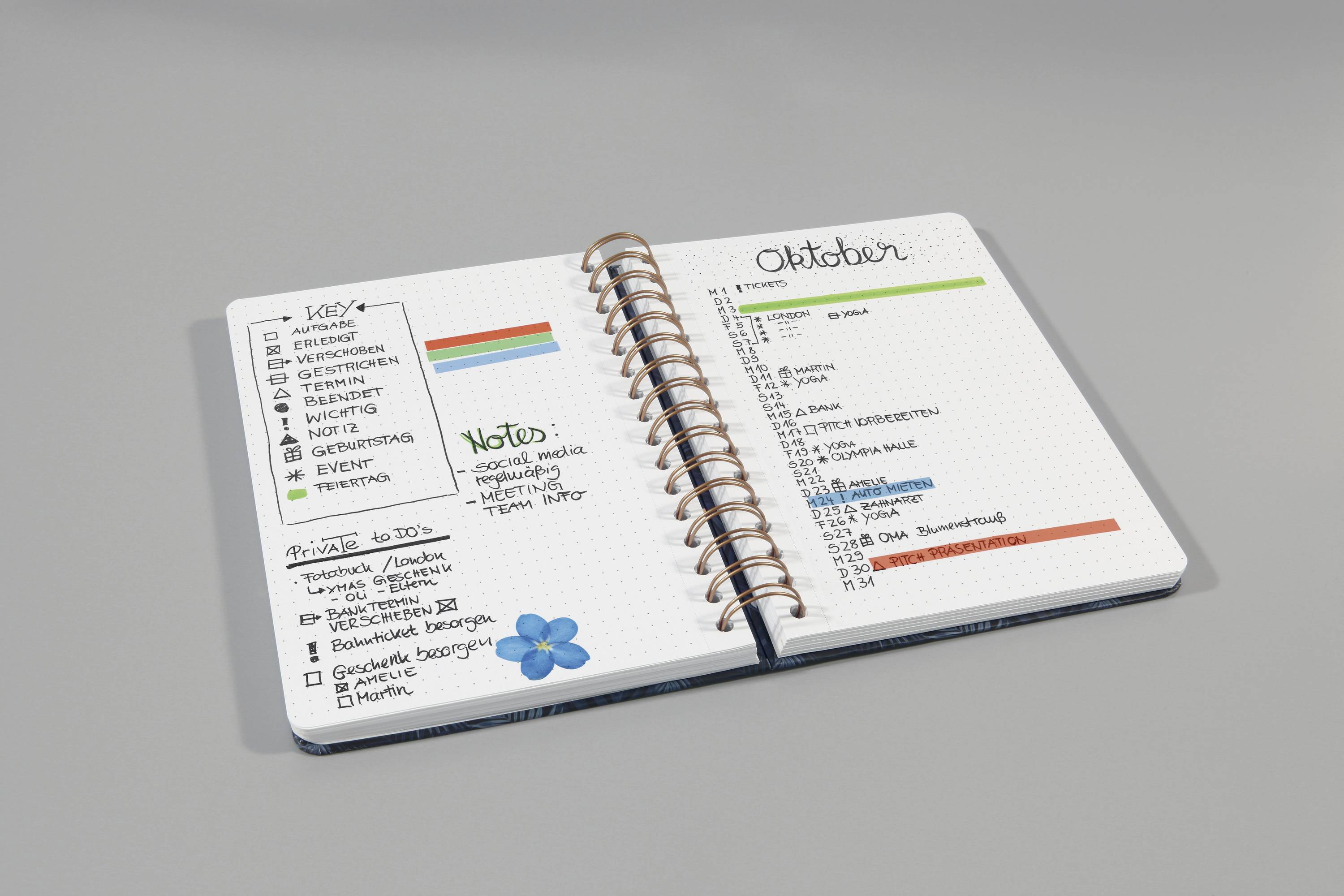 Sigel Jolie Misty Meadows JN619 Spiral-Notizbuch Punktraster Violett, Blau, Grün Anzahl der Blätter: 120 DIN A5