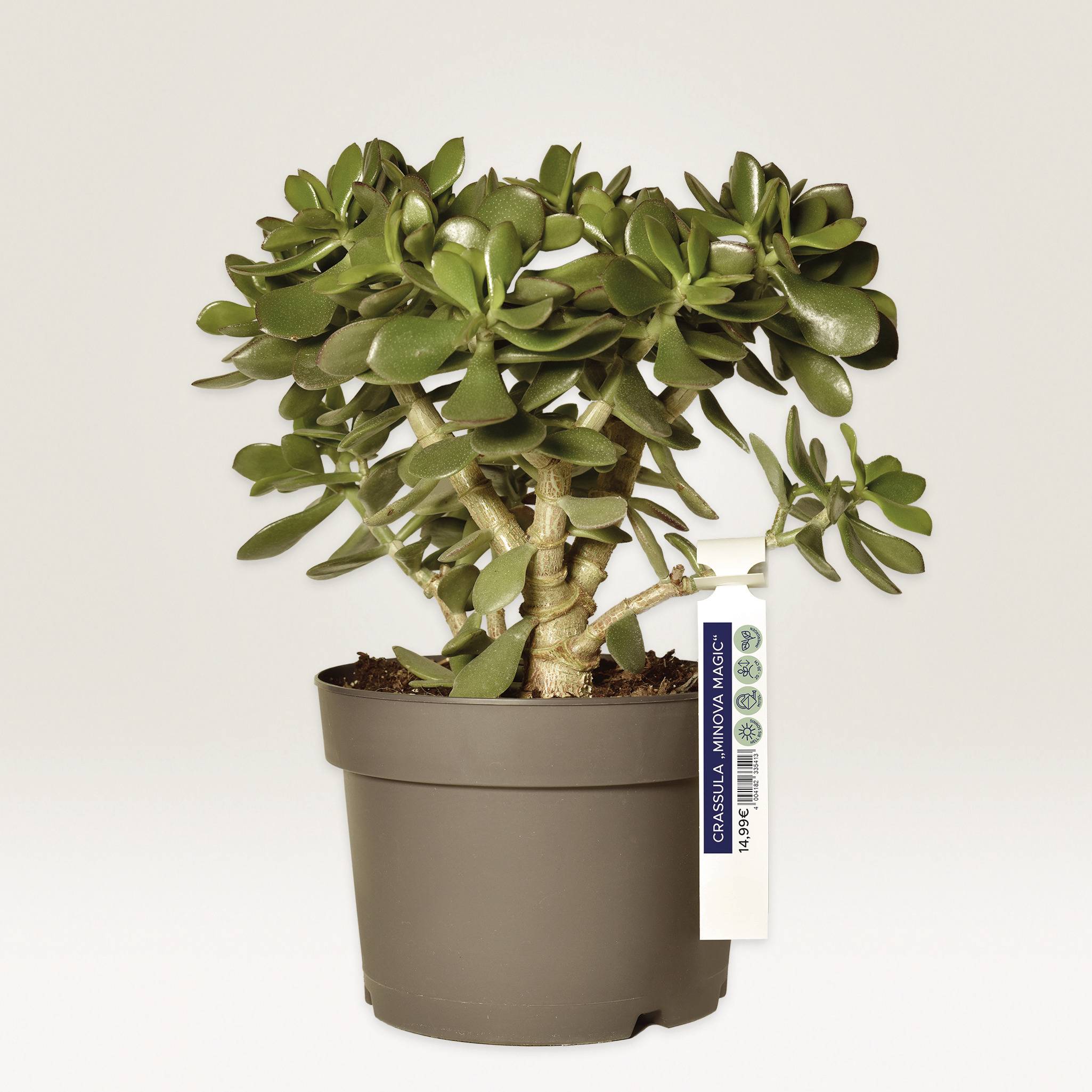 Avery-Zweckform T3007-10 Schlaufenanhänger-Etiketten 160 x 17mm Polyester Weiß 110 St. Nicht klebend Farblaserdrucker