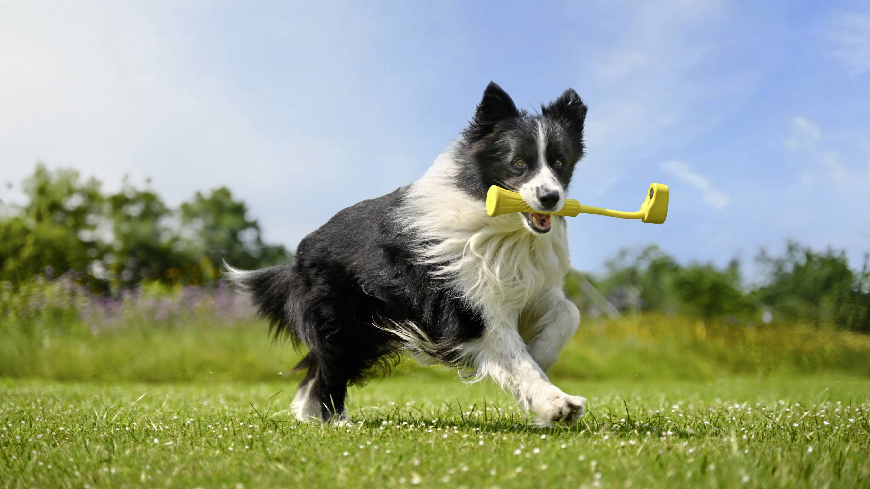 Insta360 GO 3 (64GB) Action Cam 2.7K, Bluetooth, Bildstabilisierung, Mini-Kamera, Spritzwassergeschützt, Touch-Screen, Wasserfest, Zeitlupe
