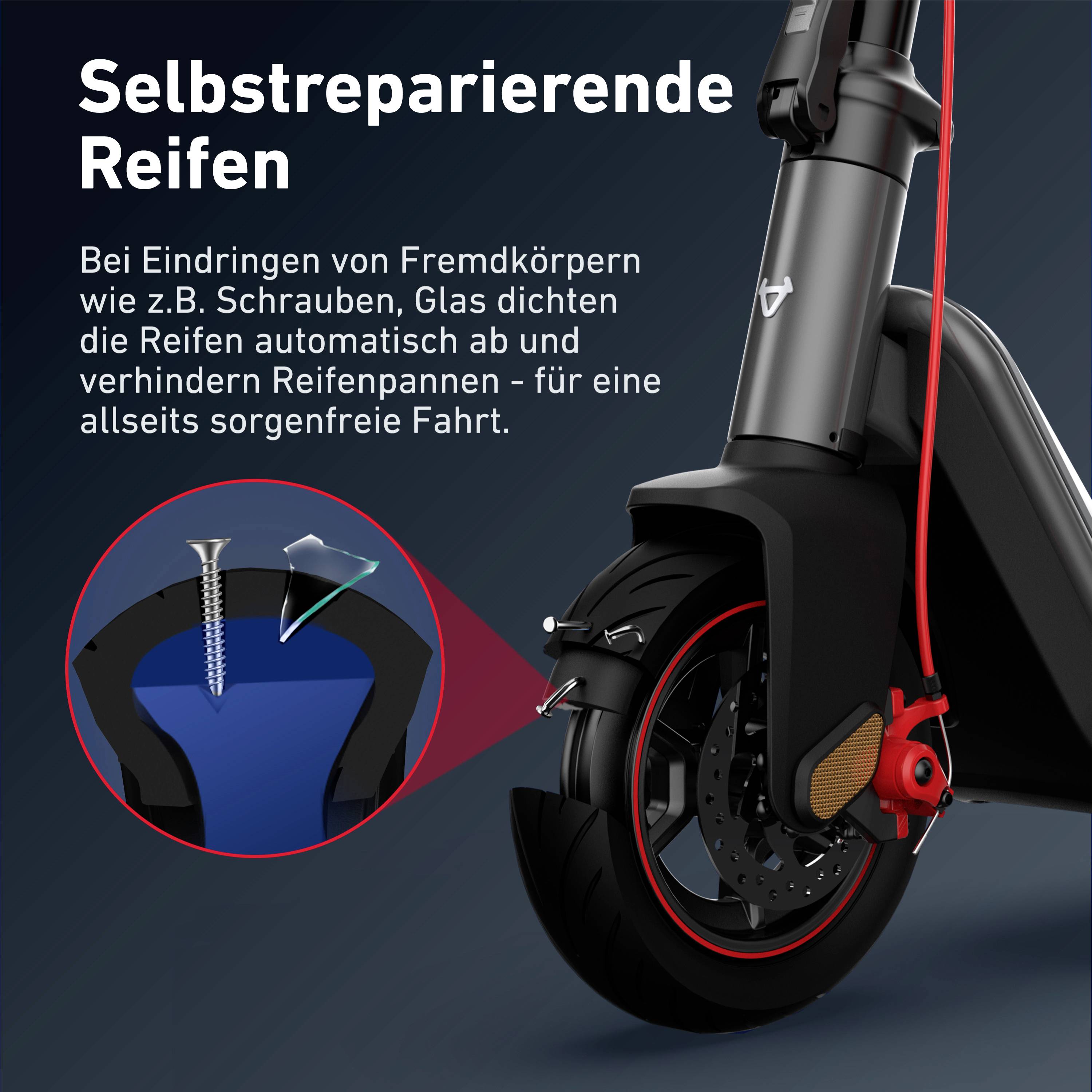 NIU KQi3 MAX E-Scooter Schwarz Li-Ion 48 V 12.66 Ah Straßenzulassung: Deutschland