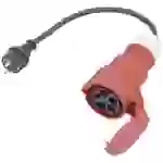 AS Schwabe 61371 Strom Adapterkabel 16 A Schwarz 0.3 m H07RN-F 3G 2,5 mm² AS Schwabe 61371 Strom Adapterkabel 16 A Schwarz 0.3 m H07RN-F 3G 2,5 mm²