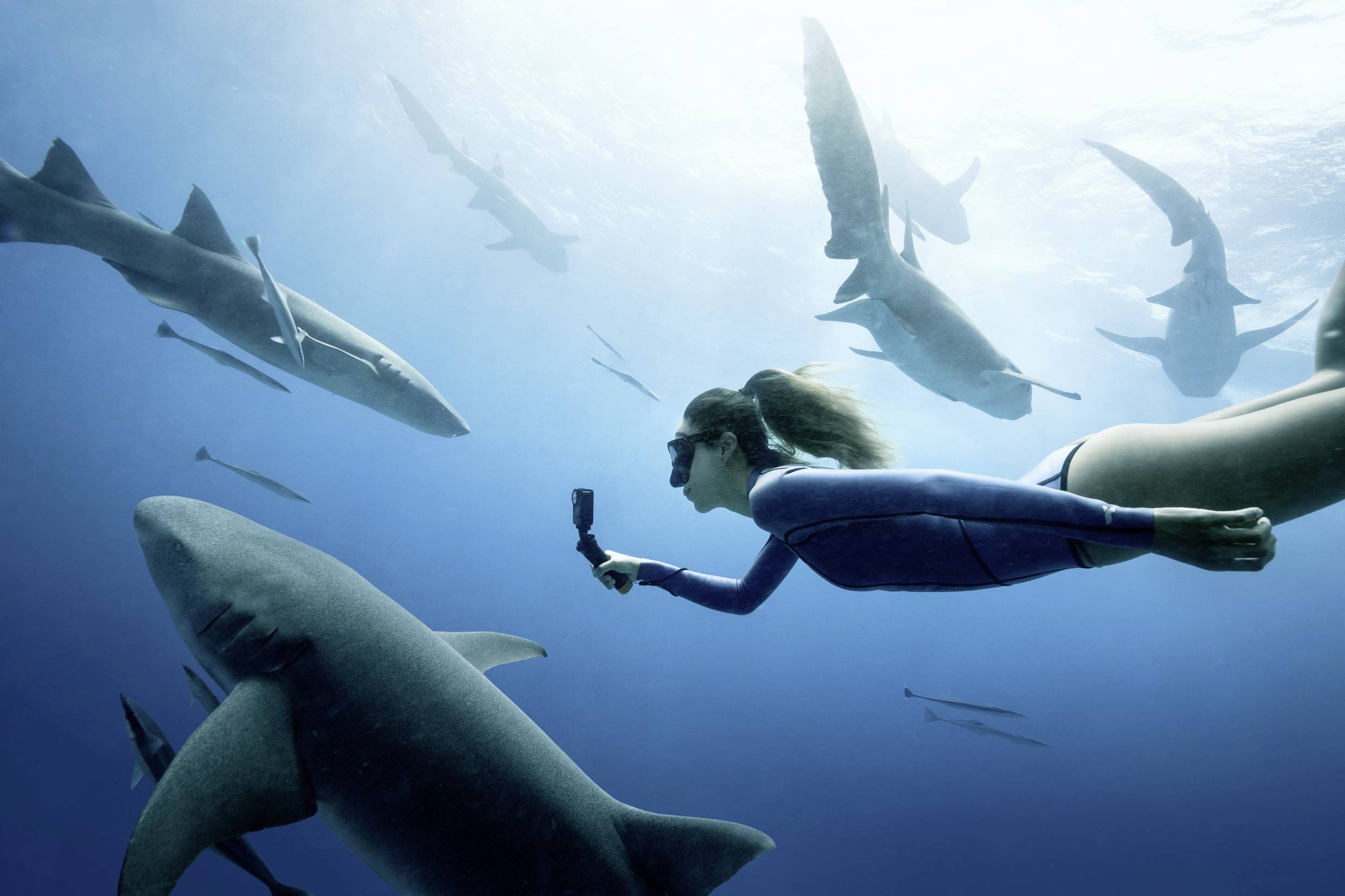 DJI Osmo Action 4 Standard Combo Action Cam 4K, Ultra HD, WLAN, Dual-Display, Wasserfest, Touch-Screen, Zeitlupe, Staubgeschützt, Frostbeständig, In