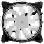 Alphacool Rise Aurora PC-Gehäuse-Lüfter Schwarz (B x H x T) 120 x 120 x 25 mm