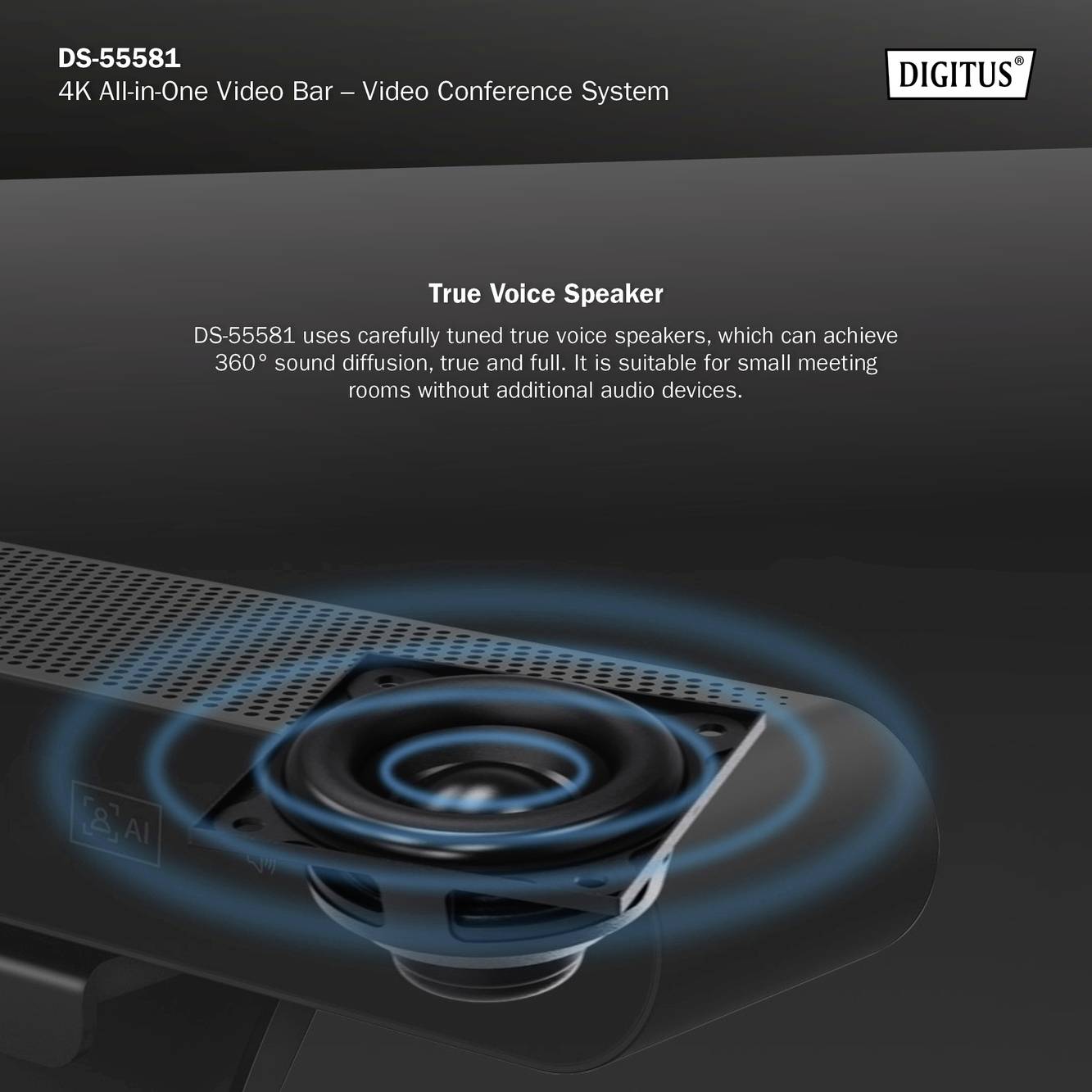 Digitales Werbebild für das Produkt 'DS-55581', ein 4K-Video-Konferenzsystem, das für kleine Besprechungsräume geeignet ist.