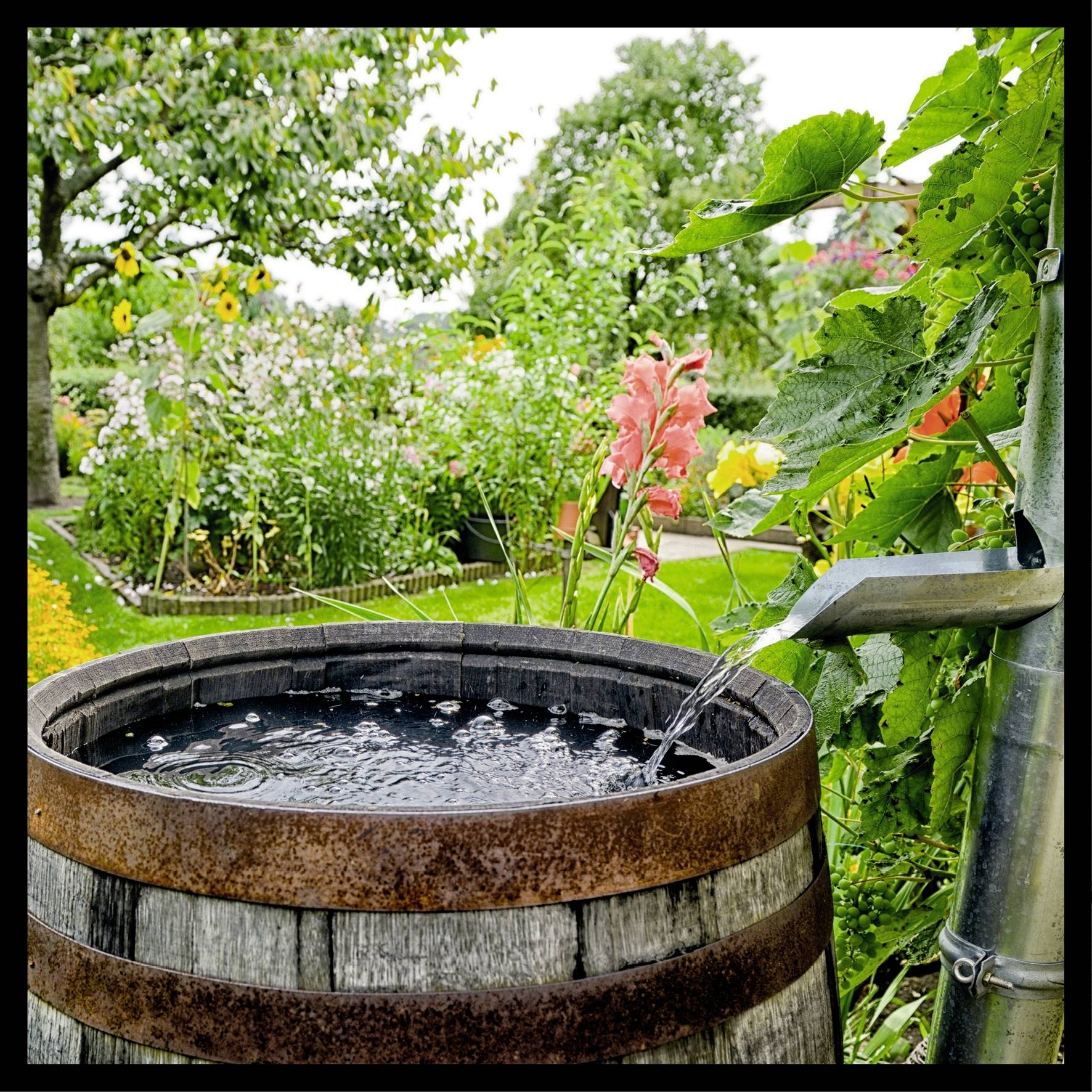 Einhell HYPRESSO 18/24 Li Power X-Change Hochdruckreiniger 24 bar Kaltwasser