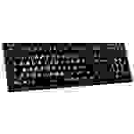 Logickeyboard XL-Print Kabelgebunden Tastatur Deutsch, QWERTZ Schwarz Multimediatasten, USB-Hub, Geräuscharme Tasten