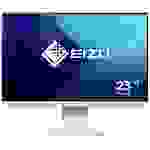 EIZO EV2360-WT LED-Monitor EEK C (A - G) 57.2 cm (22.5 Zoll) 1920 x 1200 Pixel 16:10 5 ms DisplayPo