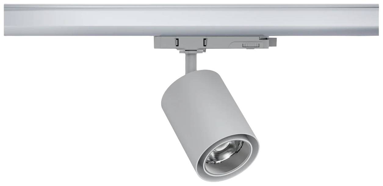 Paulmann Kratos LED-Schienenstrahler ProRail3 25W LED Silber