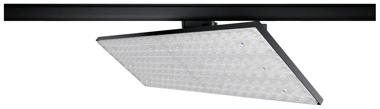 Paulmann LED-Schienenstrahler ProRail3 75W LED Schwarz