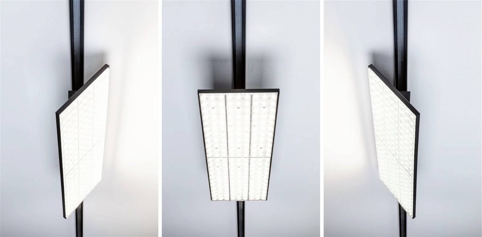 Paulmann LED-Schienenstrahler ProRail3 75W LED Schwarz