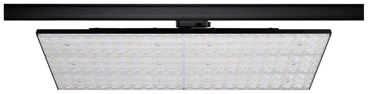 Paulmann LED-Schienenstrahler ProRail3 75W LED Schwarz