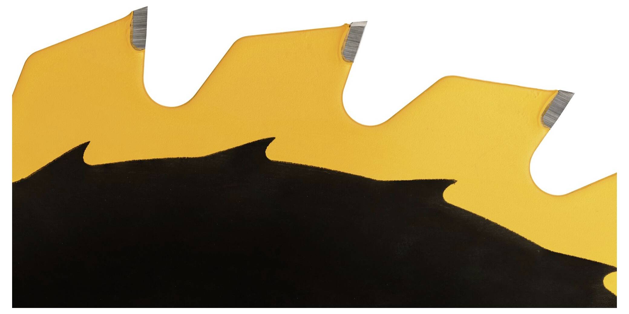 DEWALT DT1669-QZ Kreissägeblatt 1St.