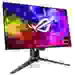 Asus PG27AQDM ROG Swift Gaming Monitor EEK G (A - G) 67.3 cm (26.5 Zoll) 2560 x 1440 Pixel 16:9 0.0